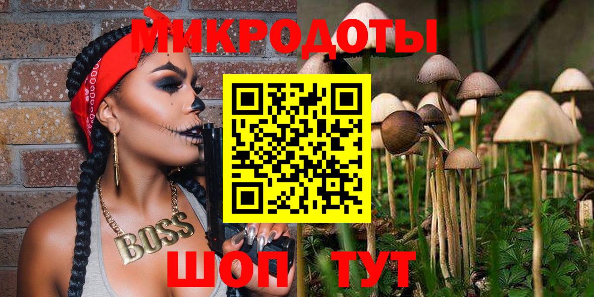 Псилоцибиновые грибы прущие грибы Междуреченск