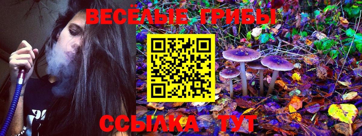 Псилоцибиновые грибы Magic Shrooms  Вход с VPN  Междуреченск 