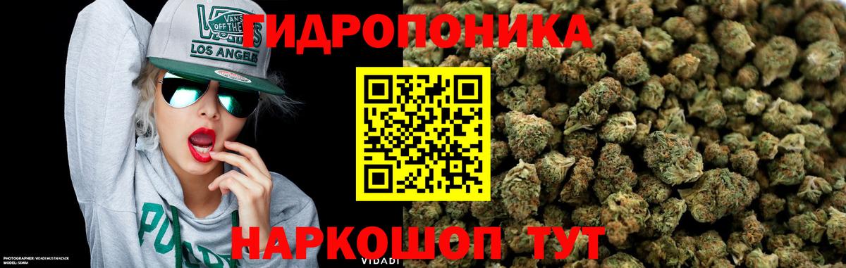 Шишки марихуана ГИДРОПОН  Вход с VPN  Междуреченск  Бошки марихуана VHQ  Бошки Шишки Ganja 